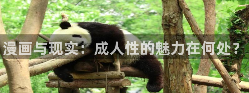 虫虫漫画免费阅读下拉式漫画星球 漫画：漫画与现实：成人性的魅力在何处？