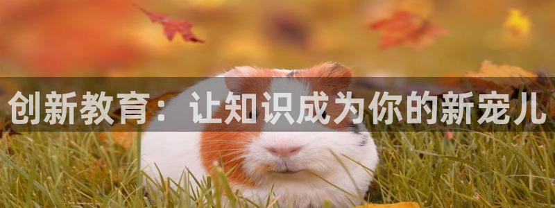 虫虫漫画免费漫画完结篇：创新教育：让知识成为你的新宠儿