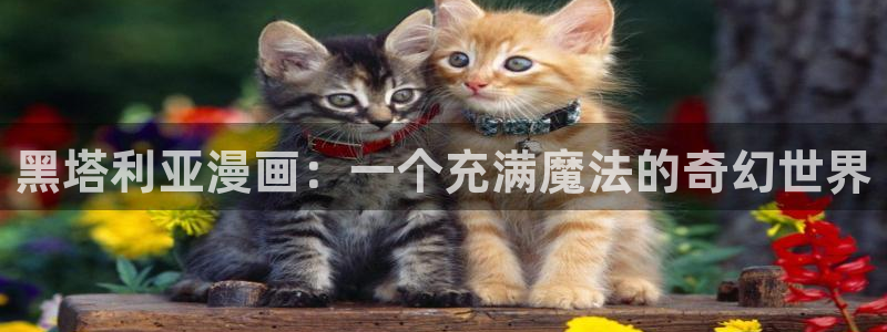 虫虫漫画 韩：黑塔利亚漫画：一个充满魔法的奇幻世界