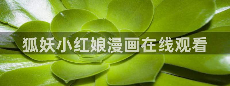 虫虫寄生漫画免费阅读下拉式六漫画：狐妖小红娘漫画在线观看