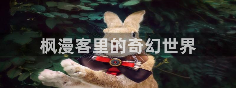 虫虫漫画破译版：枫漫客里的奇幻世界