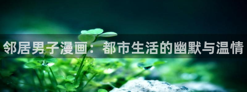 虫虫漫：邻居男子漫画：都市生活的幽默与温情