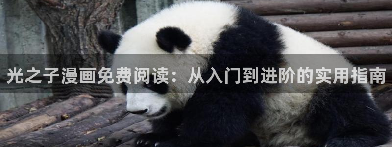 妖精漫画虫虫漫画ss：光之子漫画免费阅读：从入门到进阶的实用指南
