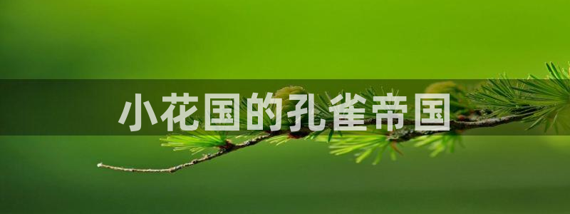 虫虫漫画登录入口：小花国的孔雀帝国