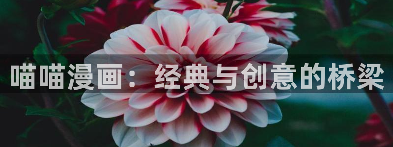 虫虫漫画app免费：喵喵漫画：经典与创意的桥梁